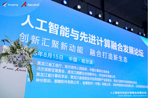 智算神州，神州领航！bb贝博艾弗森数码亮相黑龙江人工智能与先进计算融合发展论坛